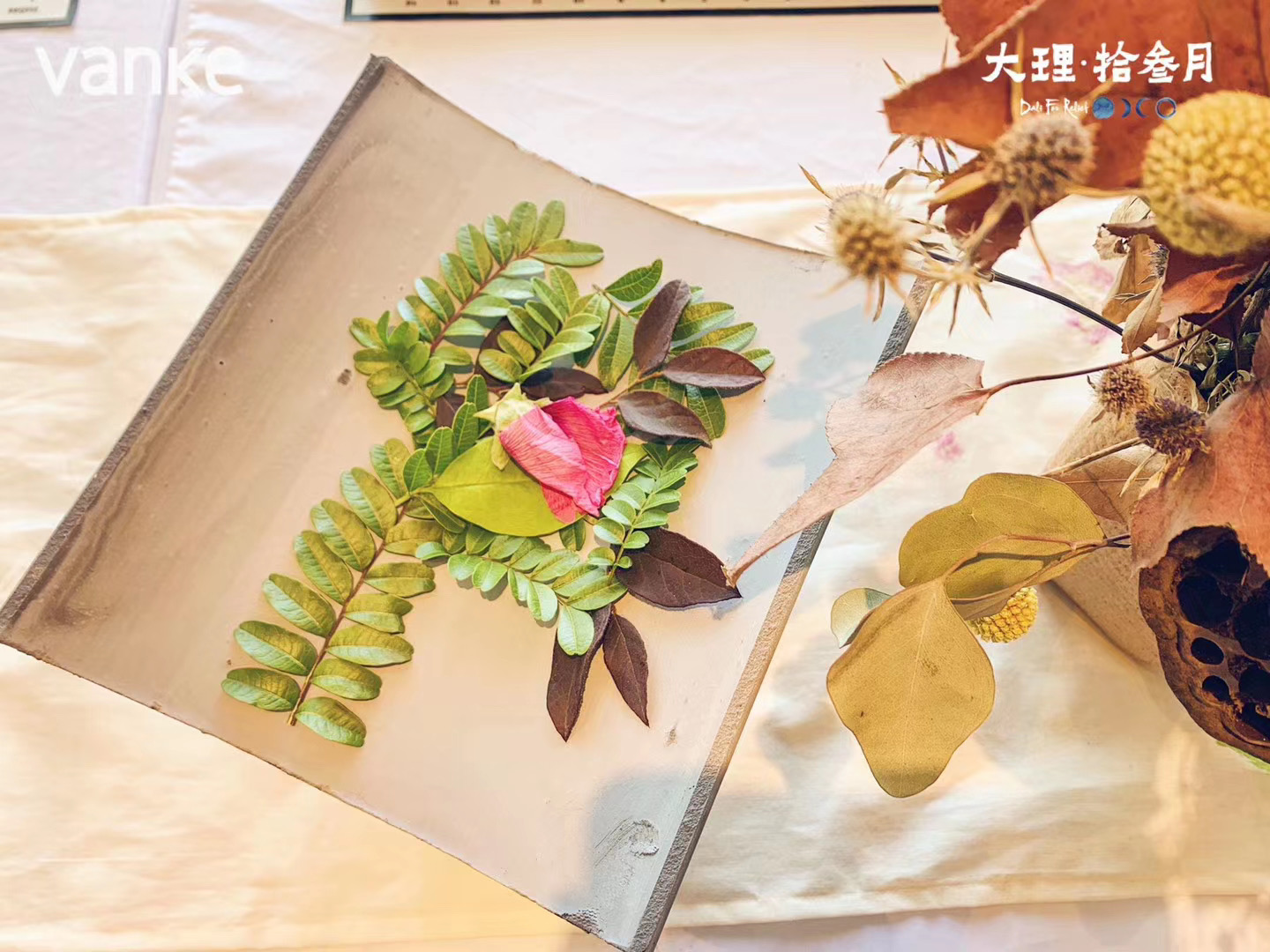 大理活动策划