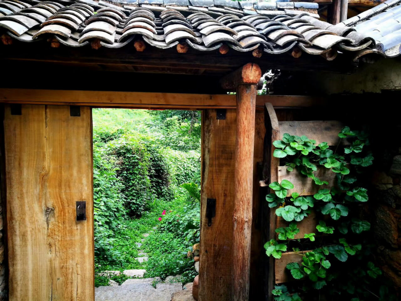 大理茶马古道团建凤阳邑古村落