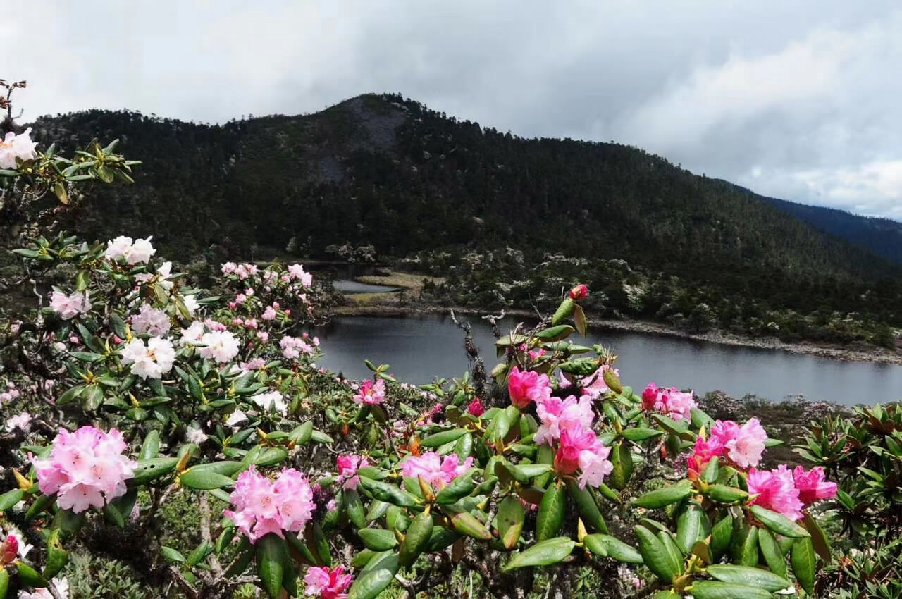 大理苍山洗马潭景区户外徒步拓展旅游全攻略