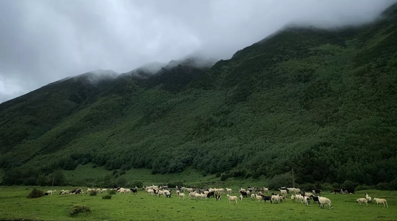 大理研学旅行
