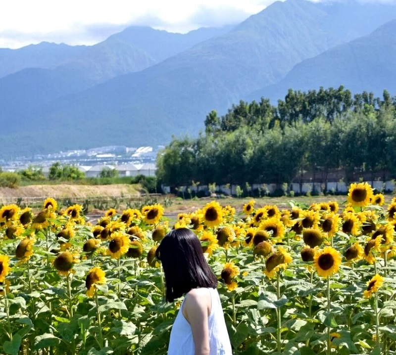 研学旅行课程设计的几大分类，我们必须要知道