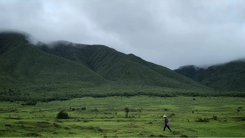 大理研学旅行