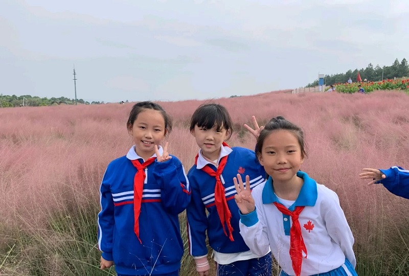 角逐研学旅行，策划如何解决市场痛点