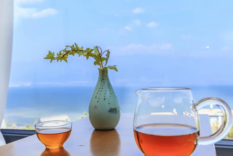 夏令营的起源是什么？