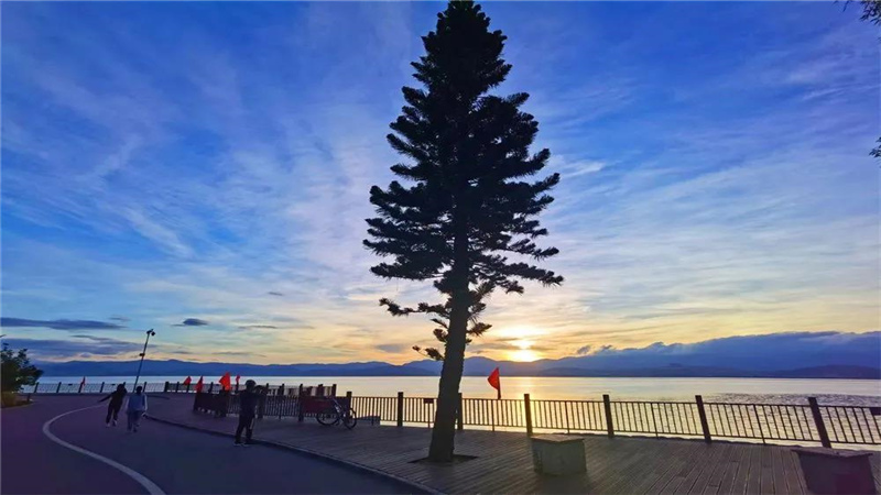 大理浓烈的夏日味道，都藏在洱海生态廊道