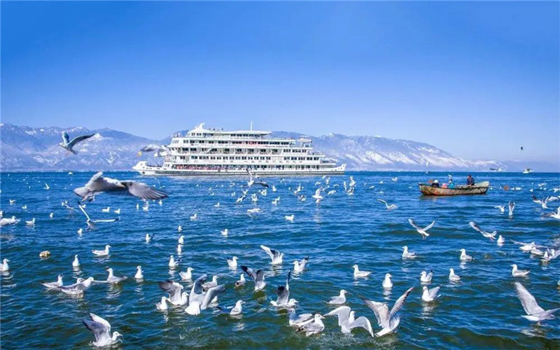 大理旅游 去表白吧！在大理这些美丽的湖畔
