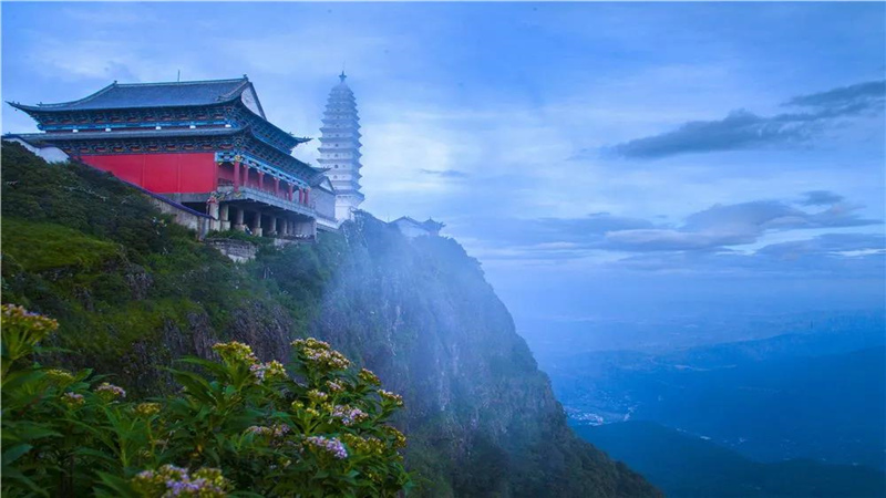 大理旅游 大理鸡足山传来杜鹃花讯 美得像仙境