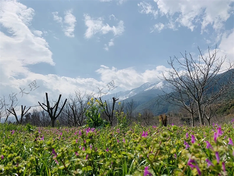 大理小重山鹿鸣山庄户外基地