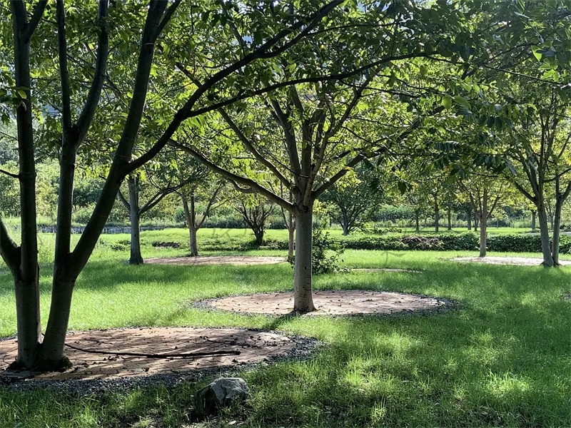 大理小重山鹿鸣山庄户外基地