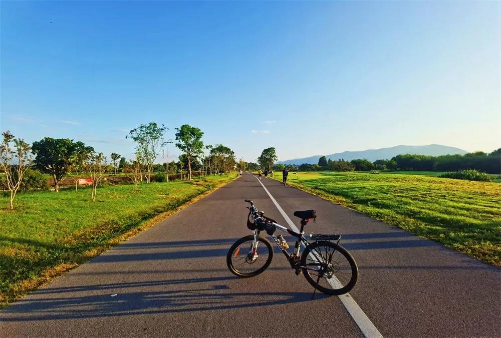 大理洱海生态廊道