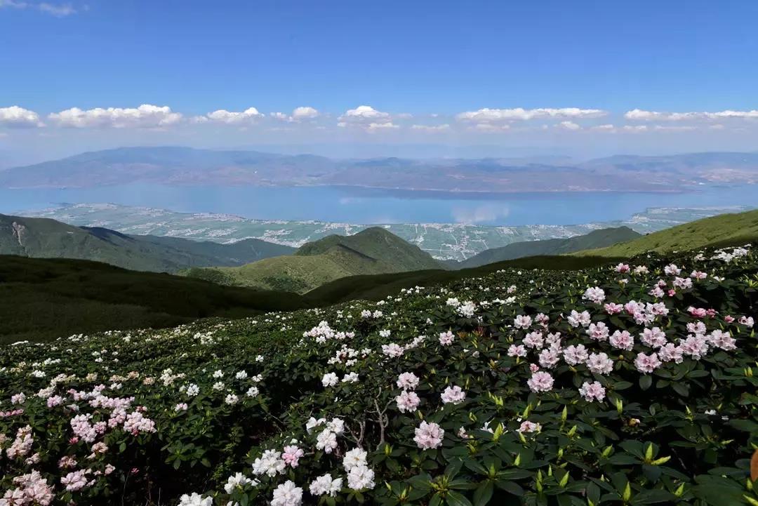 苍山