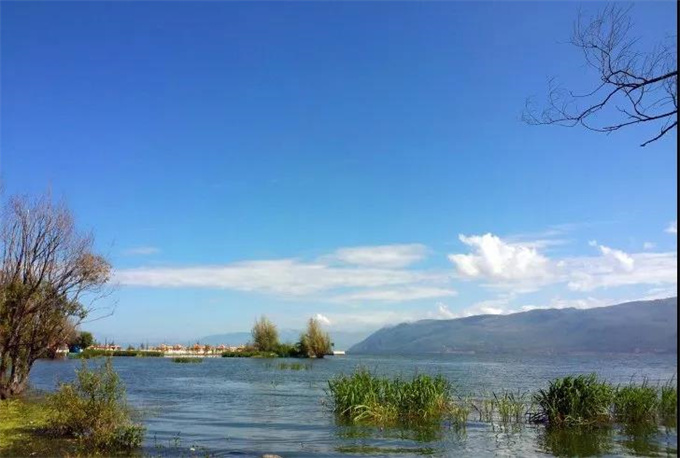 才村湿地公园｜浪漫的海边湿地 大理徒步线路中的最美公园