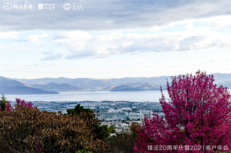 大理会议旅游团建活动暨大理苍山故事庄园篝火晚会