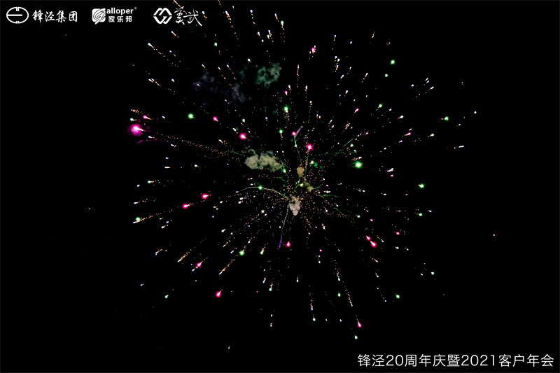 上海锋泾集团20周年庆暨2021年客户年会团建活动篝火晚会
