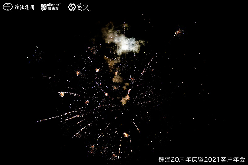 上海锋泾集团20周年庆暨2021年客户年会团建活动篝火晚会
