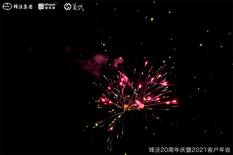 上海锋泾集团20周年庆暨2021年客户年会团建活动篝火晚会