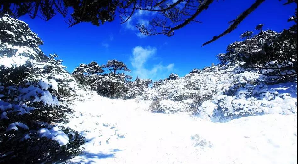 当苍山雪遇见洱海蓝，人民网都忍不住打call     大理传媒公司