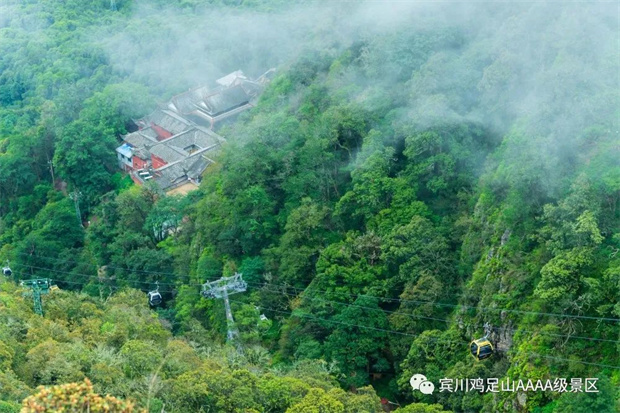 来鸡足山，过20℃的夏天！