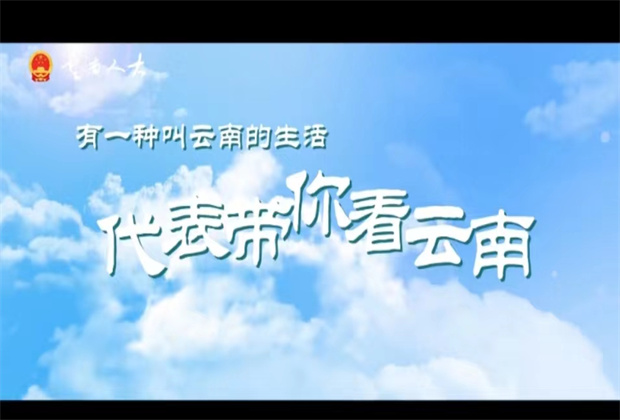 人大代表带你看云南 走进有风的大理