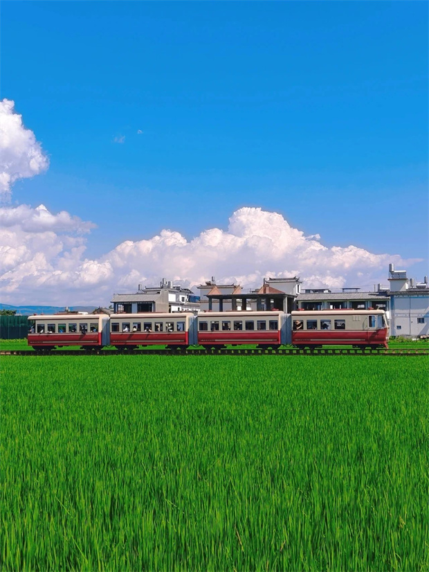 大理旅游,大理旅行社,大理团建公司,大理策划公司,大理会议会展,云南旅游,云南旅行社,云南团建公司,云南策划公司,云南会议会展：坐上喜洲稻田小火车，一秒进入动漫画卷