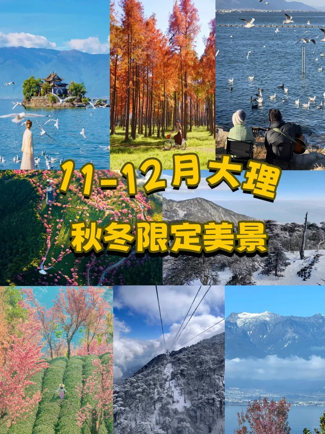 云南旅游,云南旅行社,云南团建公司,云南策划公司,云南会议会展,云南策划执行,大理旅游,大理旅行社,大理团建公司,大理会议公司,大理会议会展,大理策划公司:11-12月大理秋季限定美景美到窒息