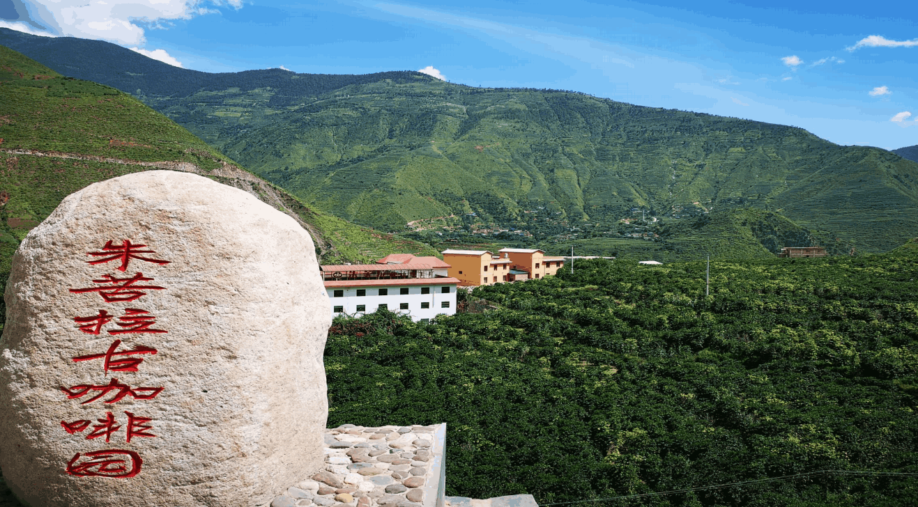 云南旅游,云南旅行社,云南团建公司,云南策划公司,云南会议会展,云南策划执行,大理旅游,大理旅行社,大理团建公司,大理会议公司,大理会议会展,大理策划公司:咖豆寻根·咖啡深度研学团建之旅