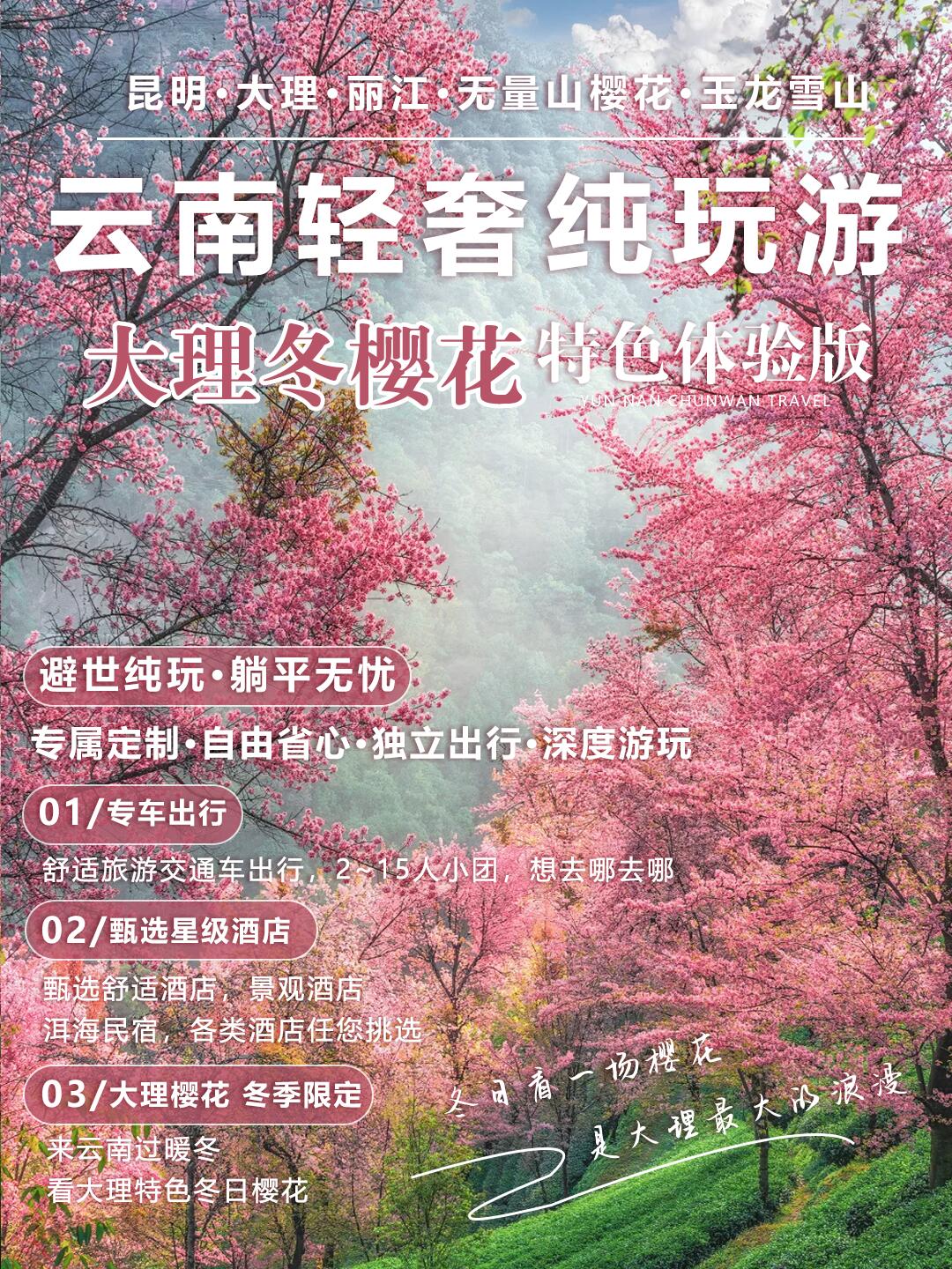 纯玩小团人均1k+解锁大理冬樱6日游你不知道的秘密赏樱地大理冬樱寒假快冲！