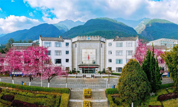 大理旅游：去赏樱，大理大学开放日来了！