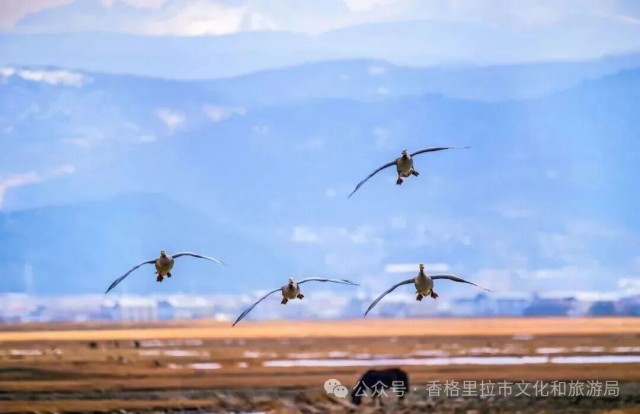 五一假期，去大理这6个古村镇！